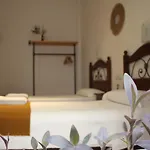 La Piquera Hostal